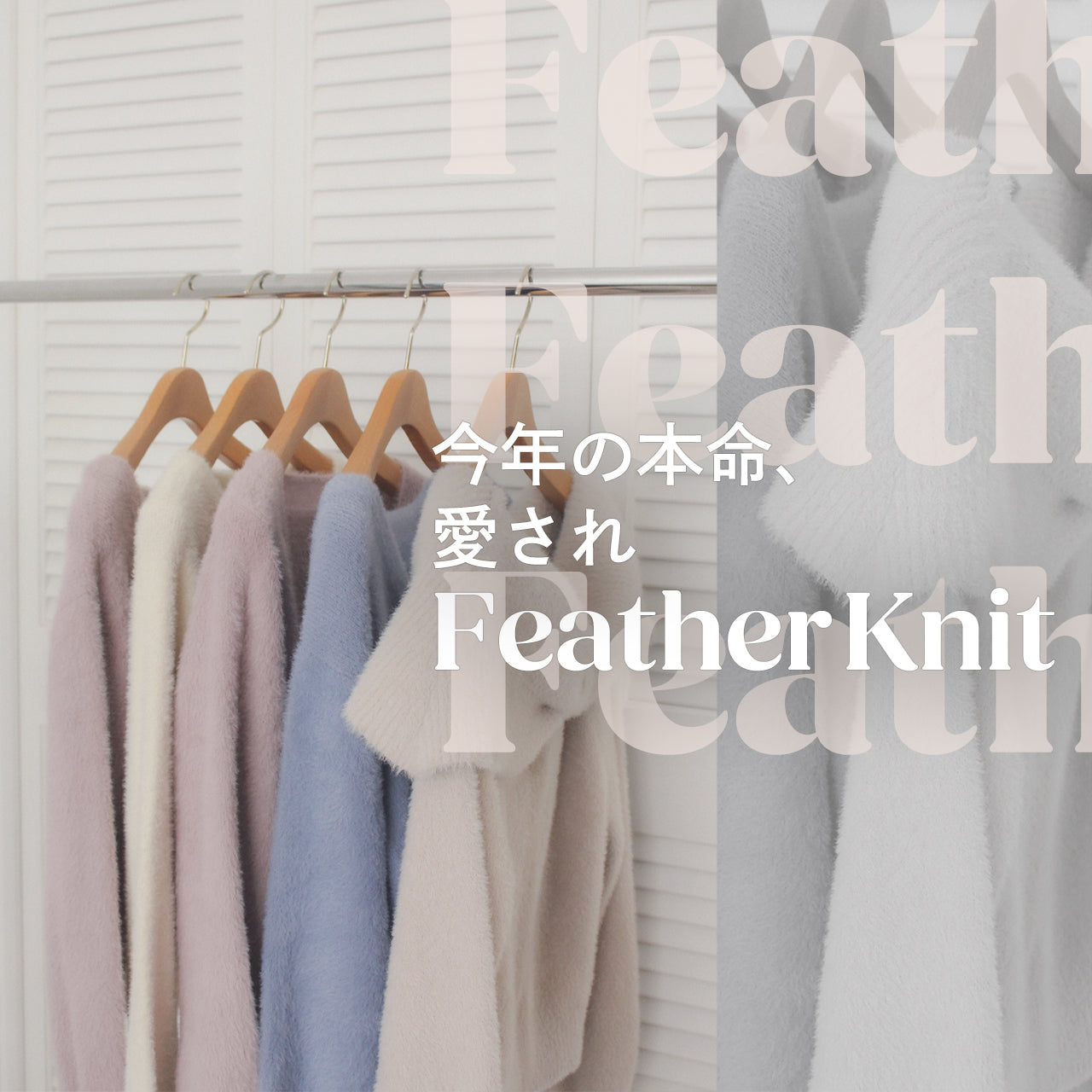 今年の本命、愛されFeather Knit