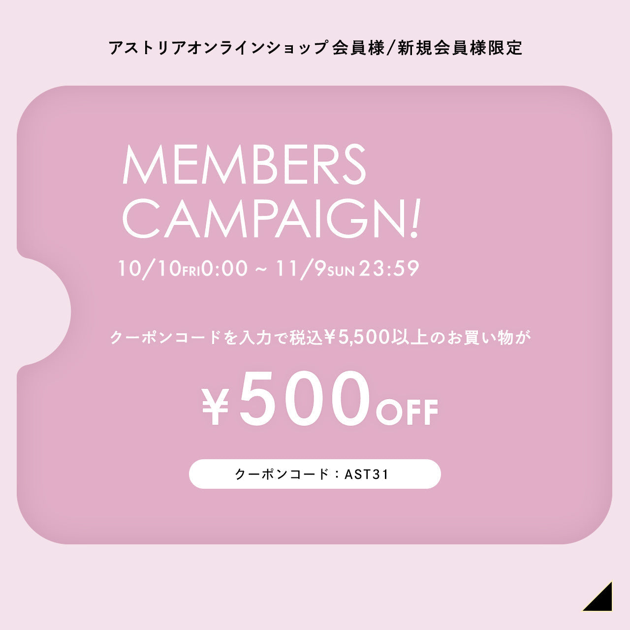 オンラインショップ会員様限定!¥500オフキャンペーン開催✨