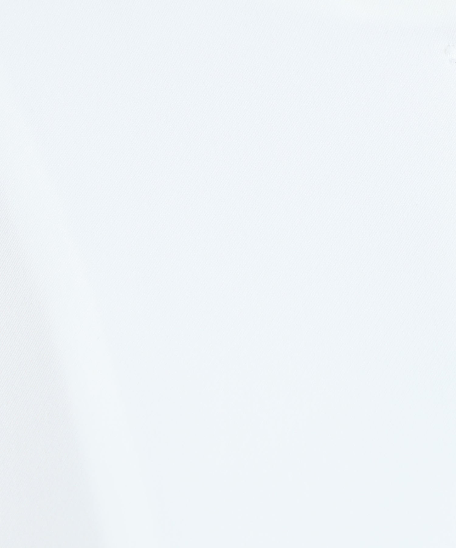 ディティール(ホワイト)