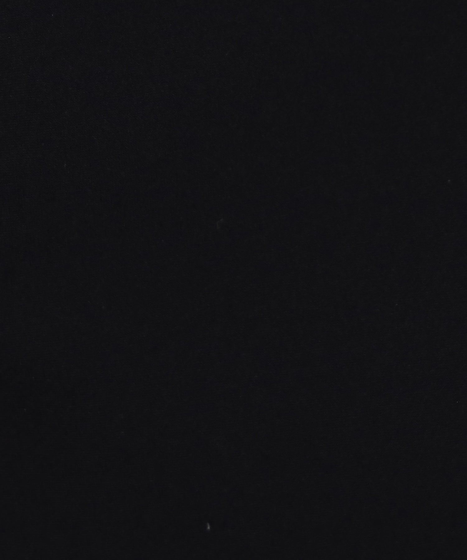 ディティール(ブラック)