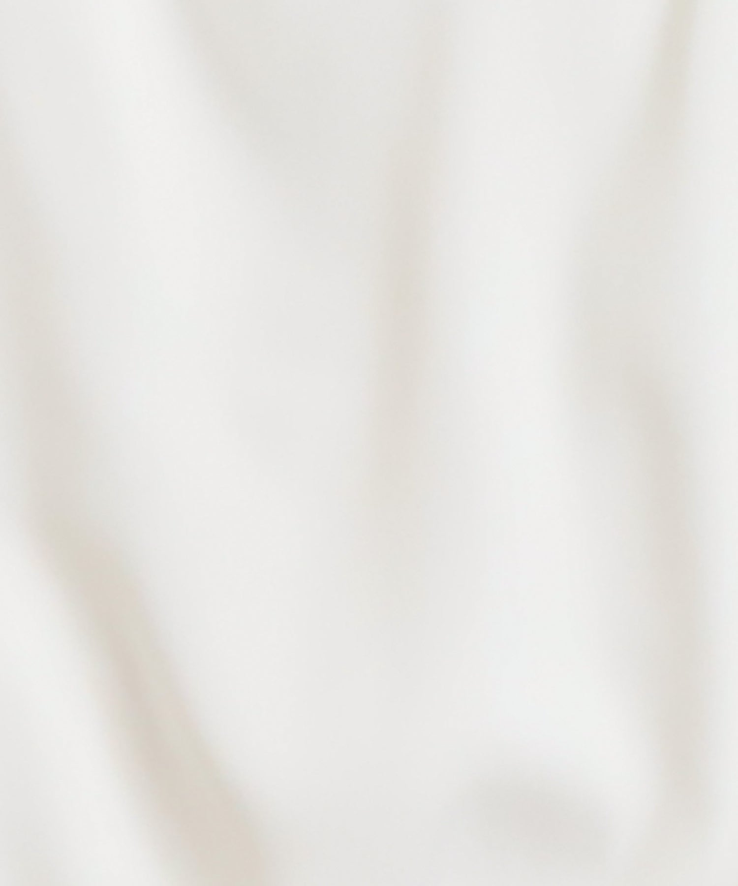 ディティール(ホワイト)