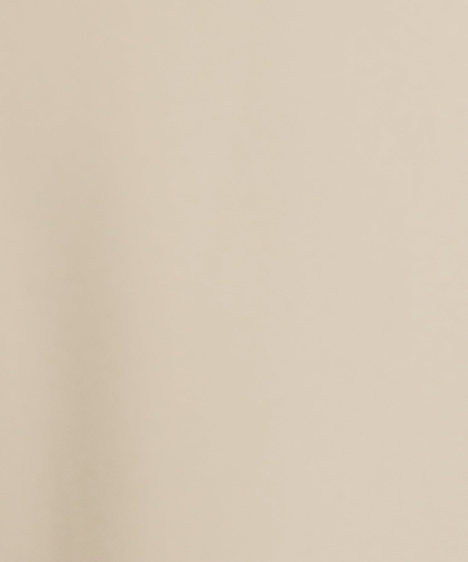 ディティール(ベージュ)